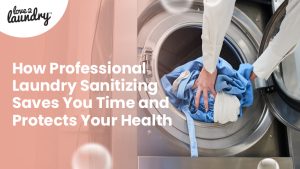 laundry sanitising