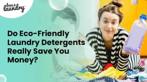 Eco-Friendly Laundry Detergents