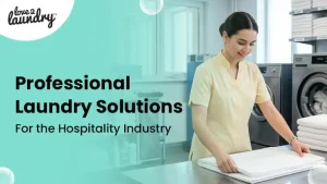 professional laundry solutions