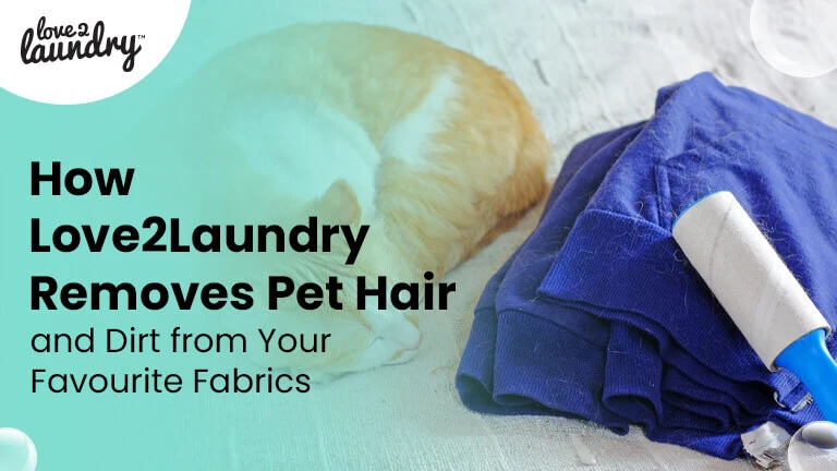 pet hair removal